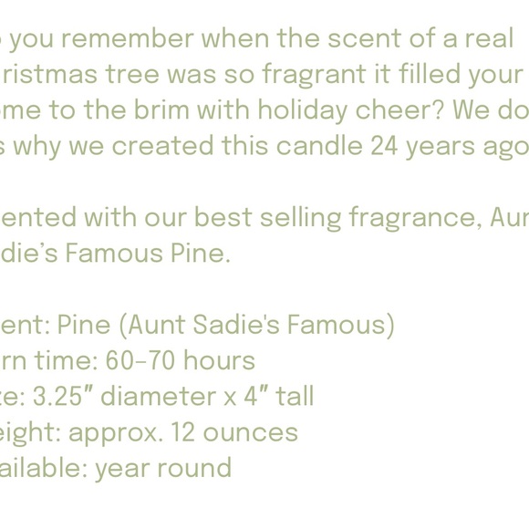 Aunt Sadie‘s Tree in a Can Candle - Green and Silver - Picture 5 of 5